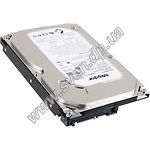 Изображение HDD Seagate DiamondMax 750GB 7200rpm 32MB S-ATA-II (STM3750330AS/528AS) Фото HDD Seagate DiamondMax 750GB 7200rpm 32MB S-ATA-II (STM3750330AS/528AS)